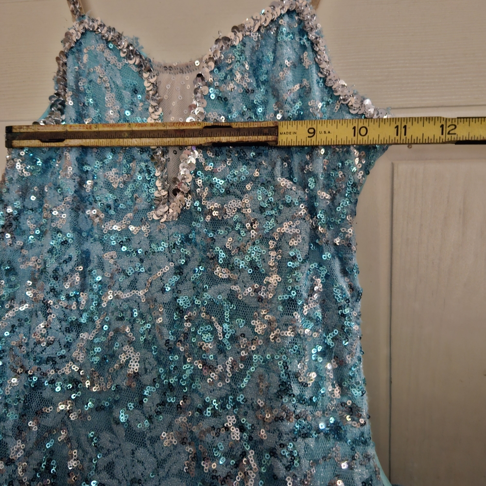 Women/Teens Sparkling Blue Princess/Fairy/Ballet Costume - Picture 9 of 13